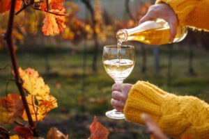 Vinos de otoño blanco