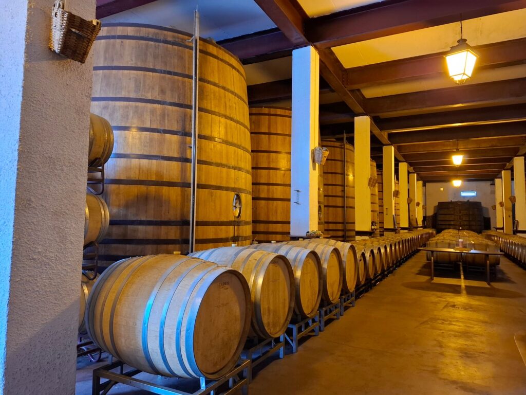 Barricas de roble envejeciendo brandy en una bodega